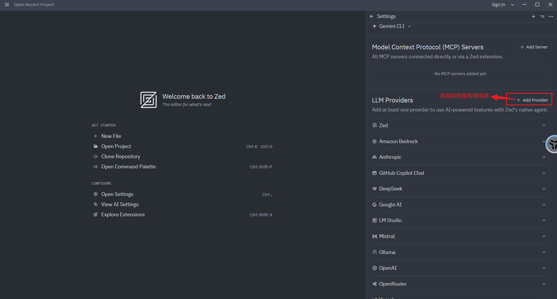 Settings 右侧 LLM Providers 列表，+ Add Provider 按钮被红框标出，旁注添加新的服务提供商