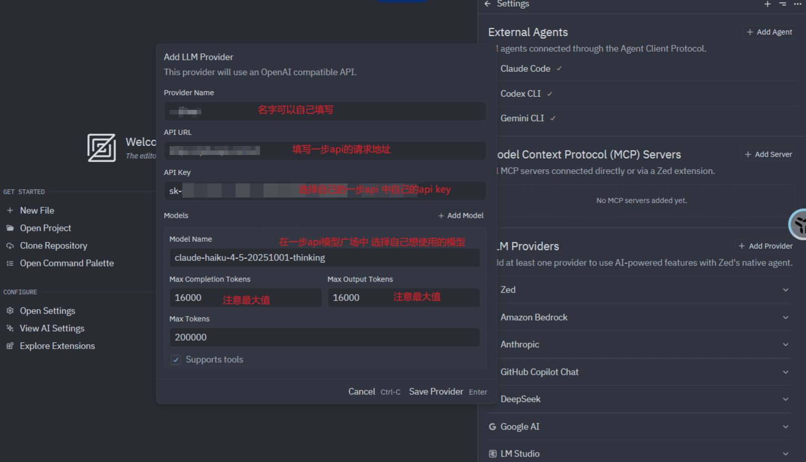 Add LLM Provider 弹窗：Provider Name、API URL、API Key，以及 Models 下的 Model Name、Max Completion Tokens、Max Output Tokens、Max Tokens 和 Supports tools；截图上有红色字段提示